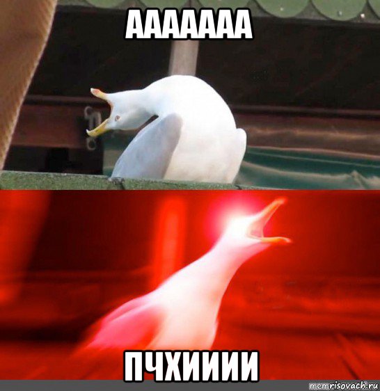 ааааааа пчхииии