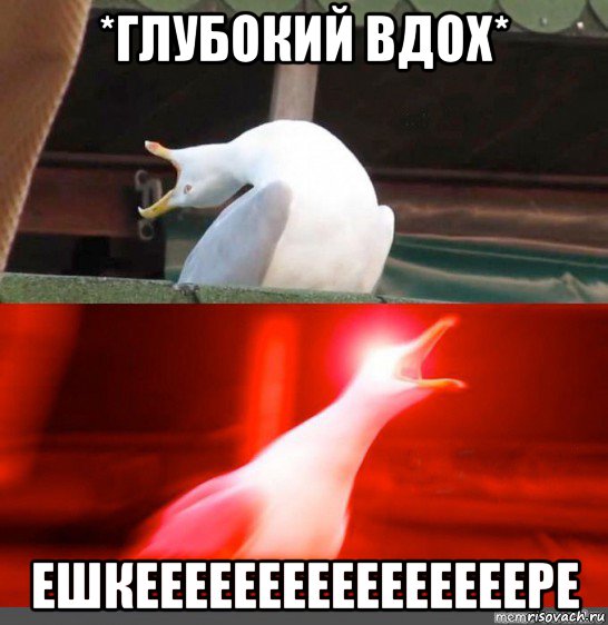 *глубокий вдох* ешкеееееееееееееееере