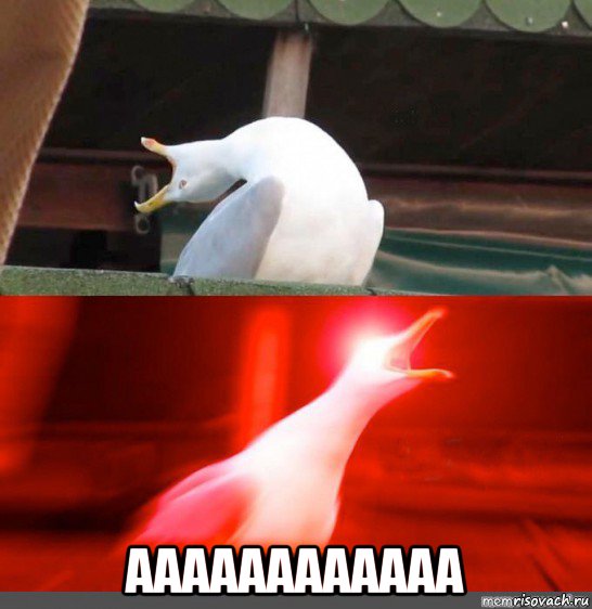  аааааааааааа