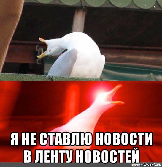  я не ставлю новости в ленту новостей