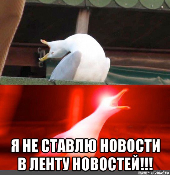  я не ставлю новости в ленту новостей!!!