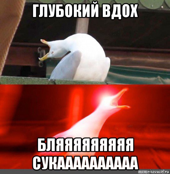 глубокий вдох бляяяяяяяяя сукаааааааааа