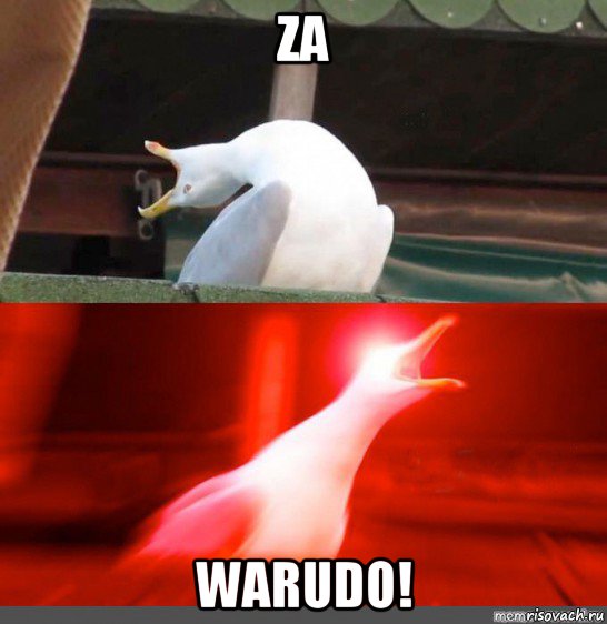 za warudo!, Мем Орущий гусь