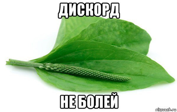 дискорд не болей