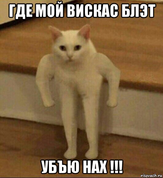 где мой вискас блэт убъю нах !!!, Мем  Полукот