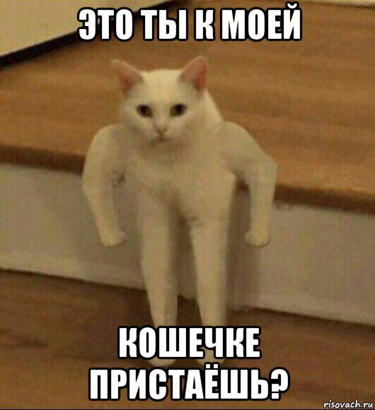 это ты к моей кошечке пристаёшь?, Мем  Полукот