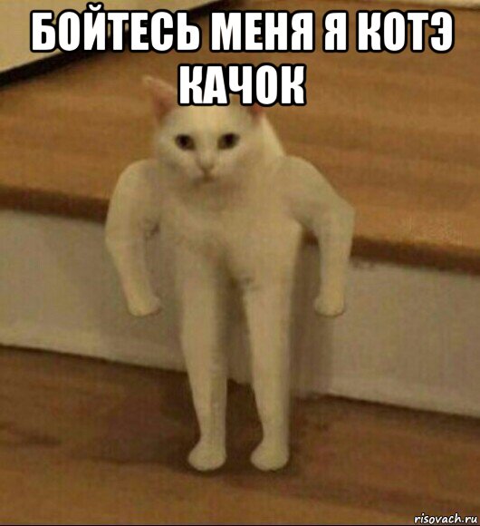 бойтесь меня я котэ качок , Мем  Полукот