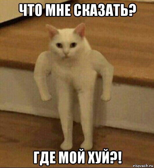 что мне сказать? где мой хуй?!, Мем  Полукот