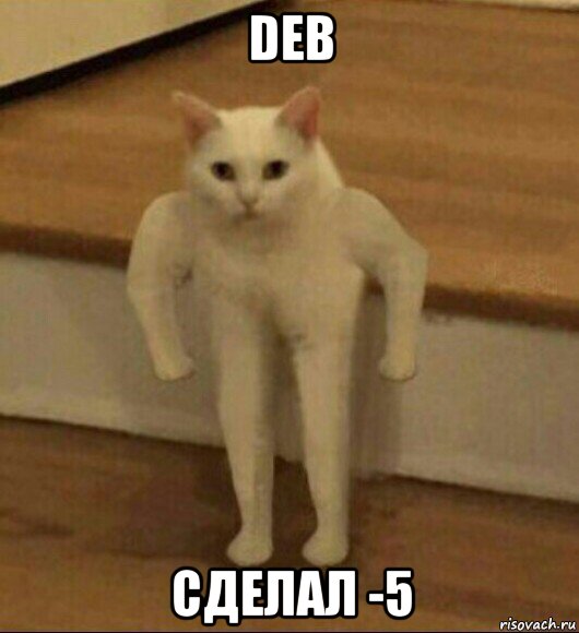 deb сделал -5, Мем  Полукот