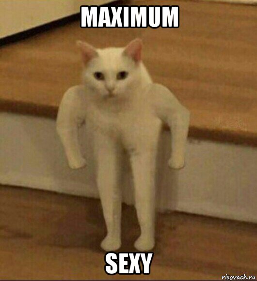 maximum sexy, Мем  Полукот