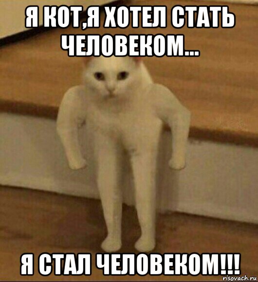 я кот,я хотел стать человеком... я стал человеком!!!, Мем  Полукот