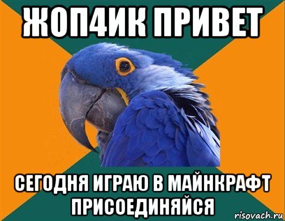 жоп4ик привет сегодня играю в майнкрафт присоединяйся, Мем Попугай параноик