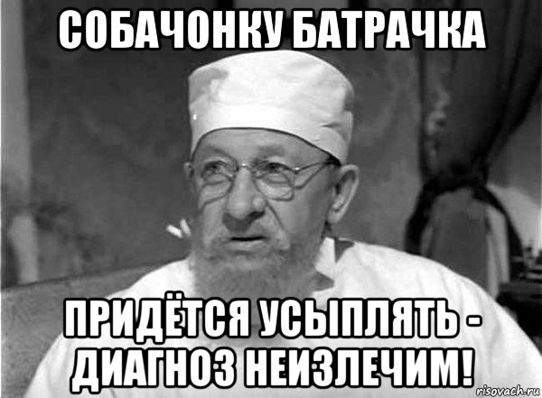 собачонку батрачка придётся усыплять - диагноз неизлечим!