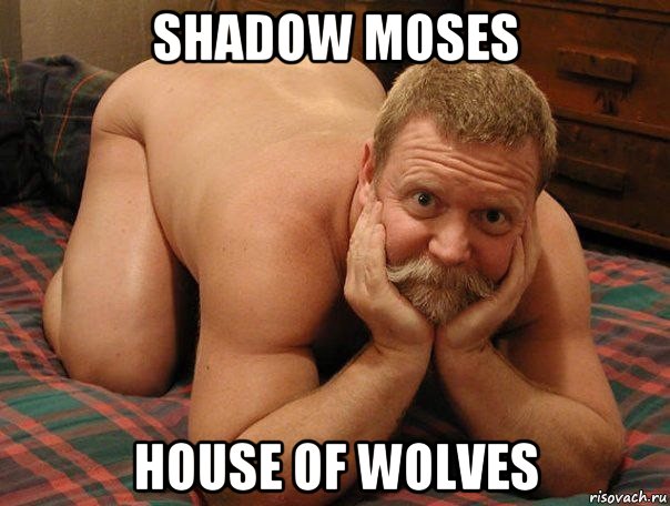 shadow moses house of wolves, Мем прив че делаешь