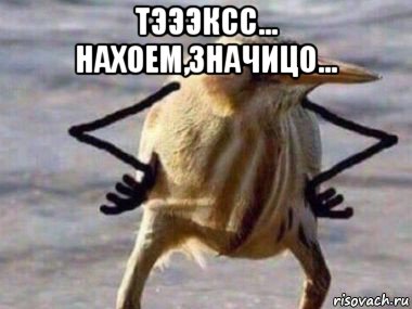 тэээксс... нахоем,значицо... 