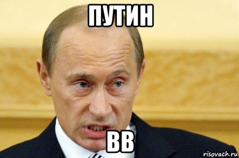 путин вв, Мем путин