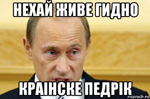 нехай живе гидно краiнске педрiк, Мем путин