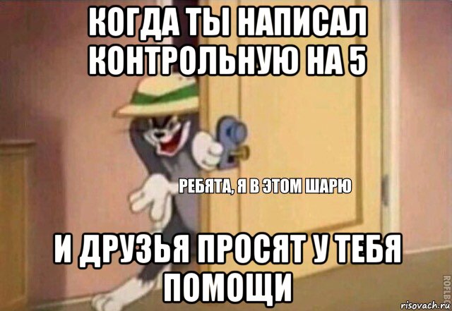 когда ты написал контрольную на 5 и друзья просят у тебя помощи, Мем    Ребята я в этом шарю