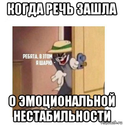 когда речь зашла о эмоциональной нестабильности, Мем Ребята я в этом шарю