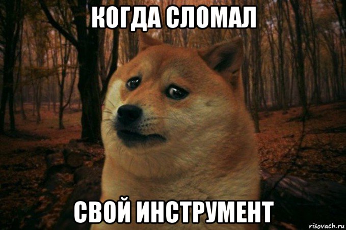 когда сломал свой инструмент, Мем SAD DOGE