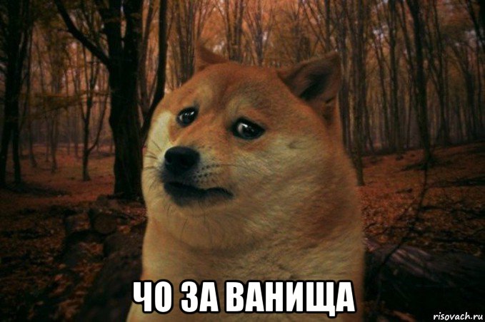  чо за ванища, Мем SAD DOGE