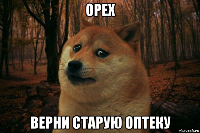 орех верни старую оптеку, Мем SAD DOGE