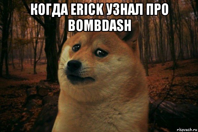 когда erick узнал про bombdash , Мем SAD DOGE