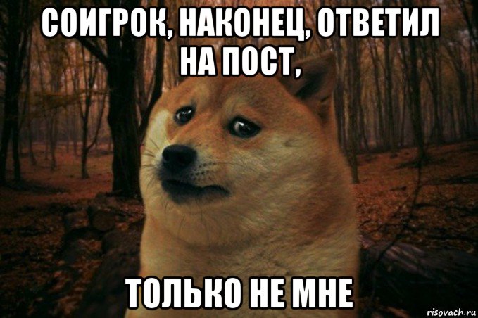 соигрок, наконец, ответил на пост, только не мне, Мем SAD DOGE