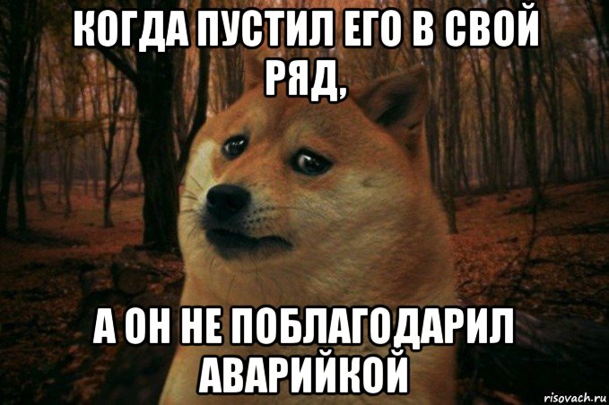 когда пустил его в свой ряд, а он не поблагодарил аварийкой, Мем SAD DOGE