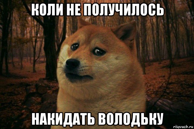 коли не получилось накидать володьку, Мем SAD DOGE