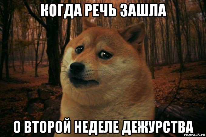 когда речь зашла о второй неделе дежурства, Мем SAD DOGE