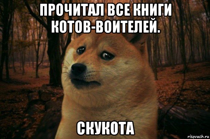 прочитал все книги котов-воителей. скукота, Мем SAD DOGE