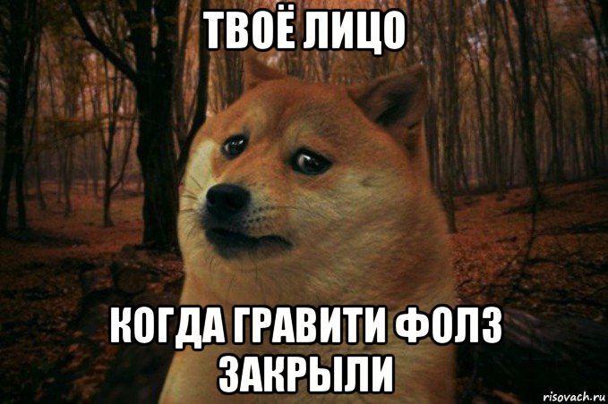 твоё лицо когда гравити фолз закрыли, Мем SAD DOGE