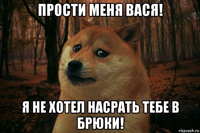 прости меня вася! я не хотел насрать тебе в брюки!, Мем SAD DOGE