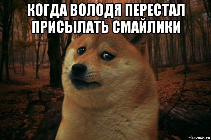 когда володя перестал присылать смайлики , Мем SAD DOGE