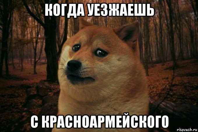 когда уезжаешь с красноармейского, Мем SAD DOGE