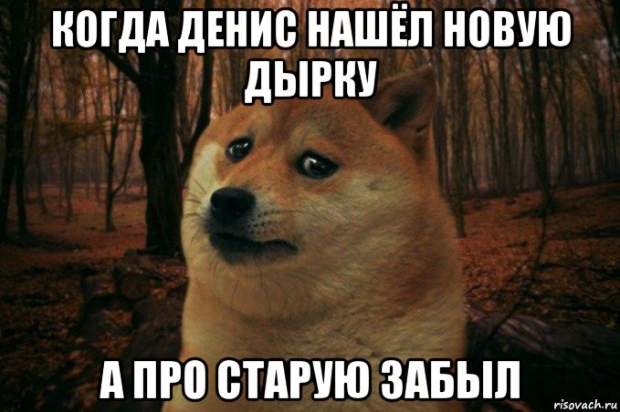 когда денис нашёл новую дырку а про старую забыл, Мем SAD DOGE