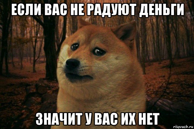 если вас не радуют деньги значит у вас их нет, Мем SAD DOGE