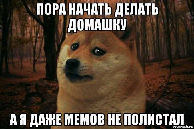 пора начать делать домашку а я даже мемов не полистал, Мем SAD DOGE