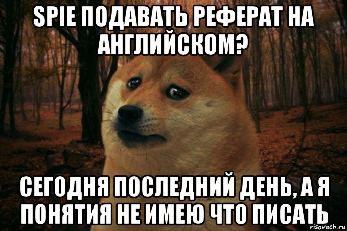spie подавать реферат на английском? сегодня последний день, а я понятия не имею что писать, Мем SAD DOGE