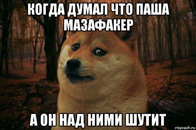 когда думал что паша мазафакер а он над ними шутит, Мем SAD DOGE