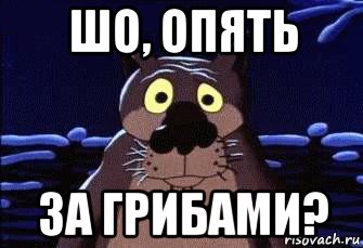 шо, опять за грибами?
