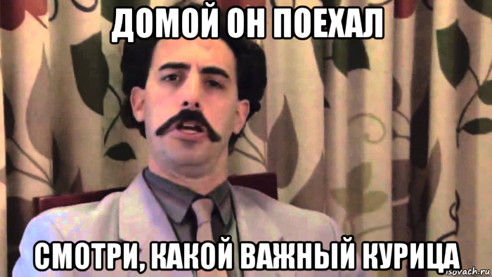 домой он поехал смотри, какой важный курица