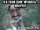 я в твой дом. кровать. насрал 