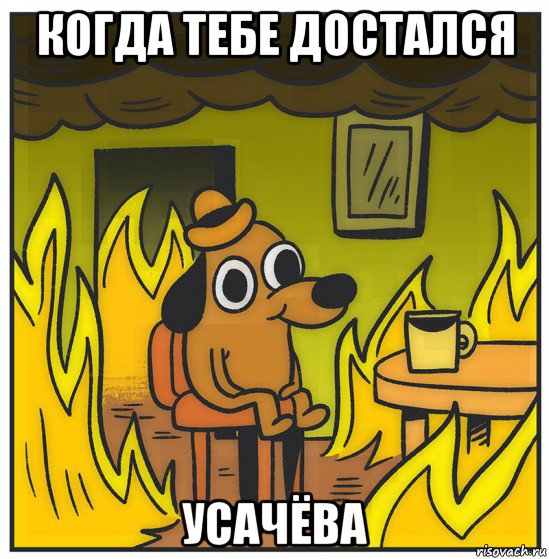 когда тебе достался усачёва