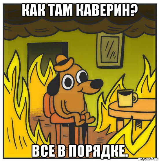 как там каверин? все в порядке.