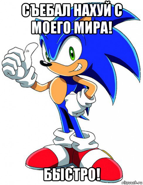 Мем Sonic X.