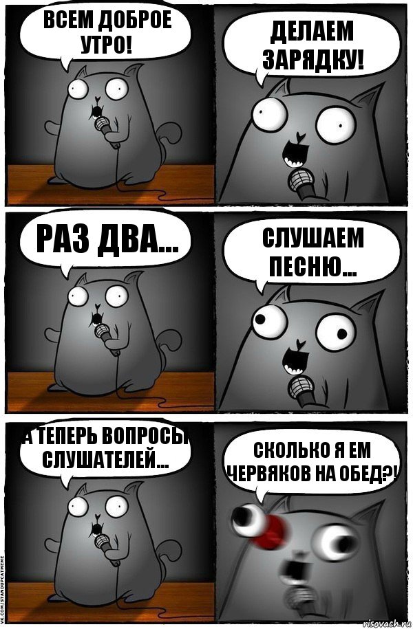 ВСЕМ доброе утро! Делаем зарядку! Раз два... Слушаем песню... А теперь вопросы слушателей... Сколько я ем червяков на обед?!, Комикс  Стендап-кот