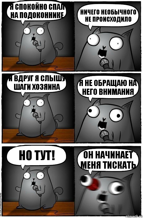 Я спокойно спал на подоконнике Ничего необычного не происходило И вдруг я слышу шаги хозяина Я не обращаю на него внимания Но тут! Он начинает меня тискать, Комикс  Стендап-кот