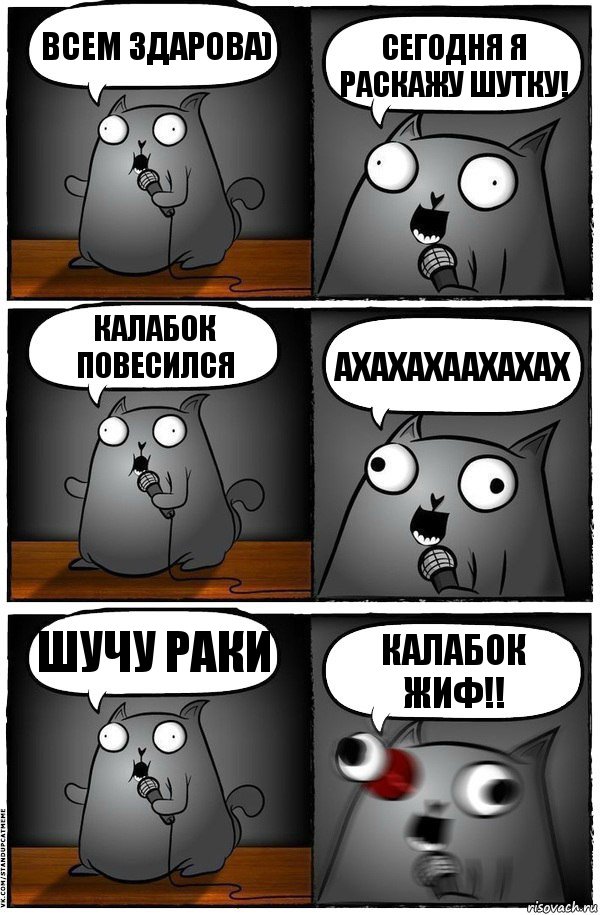 Всем здарова) сегодня я раскажу шутку! Калабок повесился ахахахаахахах шучу раки калабок жиф!!, Комикс  Стендап-кот